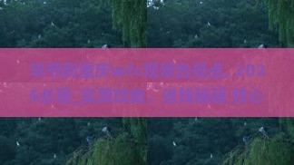 毕节到重庆wfc观景台景点