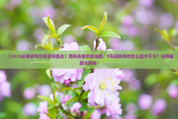 酒泉去重庆自由团