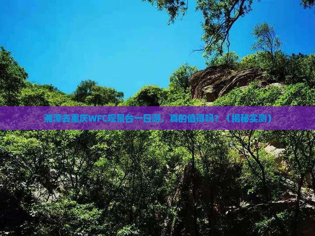 湘潭去重庆wfc观景台一日