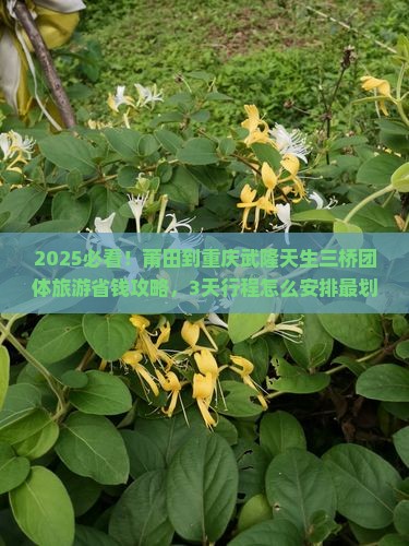 莆田到重庆武隆天生三桥团体旅游