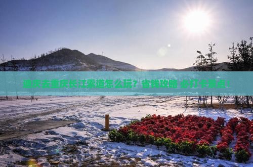 迪庆去重庆长江索道旅行社