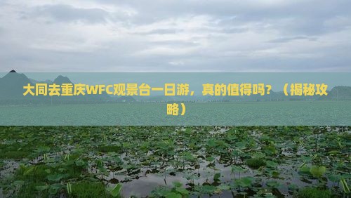 大同去重庆wfc观景台一日