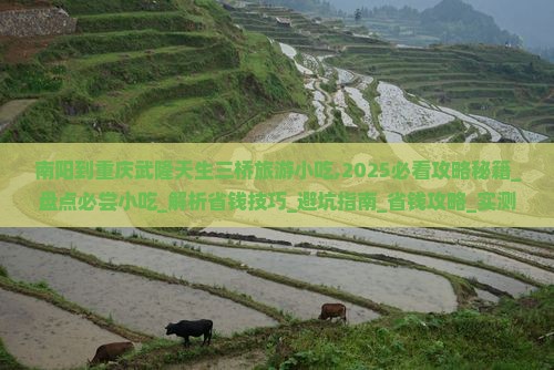 南阳到重庆武隆天生三桥旅游小吃