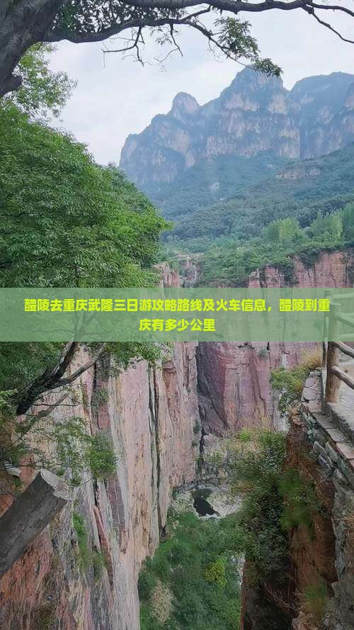 醴陵去重庆武隆三日游
