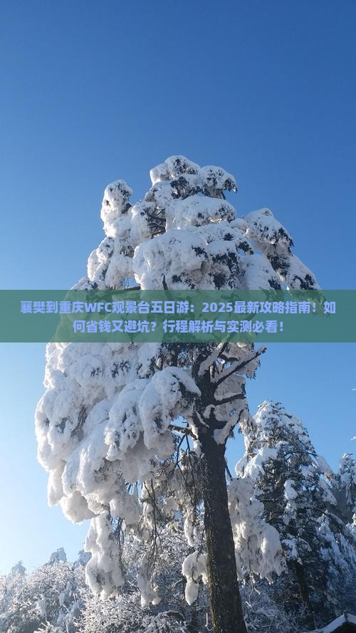 襄樊到重庆wfc观景台五日游