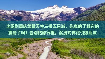 沈阳到重庆武隆天生三桥五日游