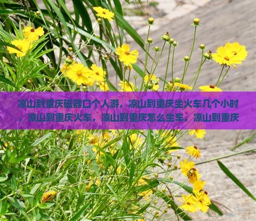 凉山到重庆磁器口个人游