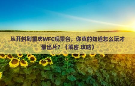 开封去重庆wfc观景台自由行