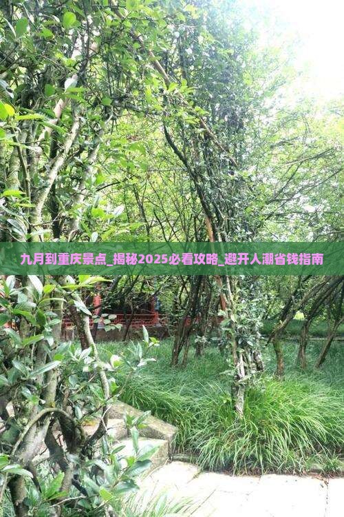 九月到重庆景点