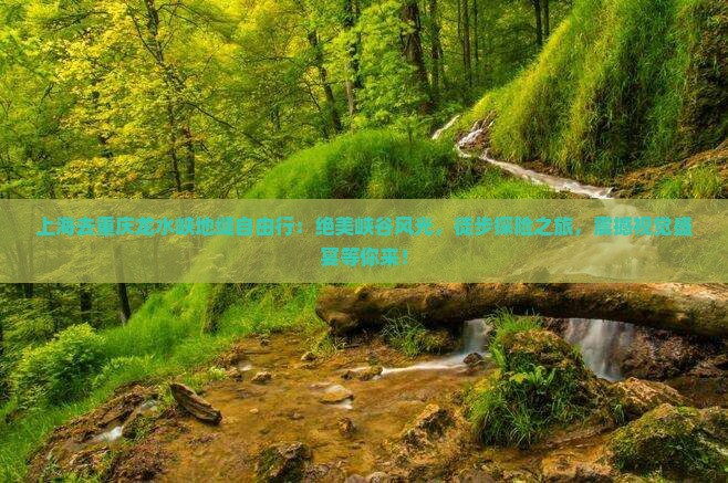 上海去重庆龙水峡地缝自由行