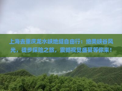 上海去重庆龙水峡地缝自由行