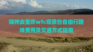 锦州去重庆wfc观景台自由行