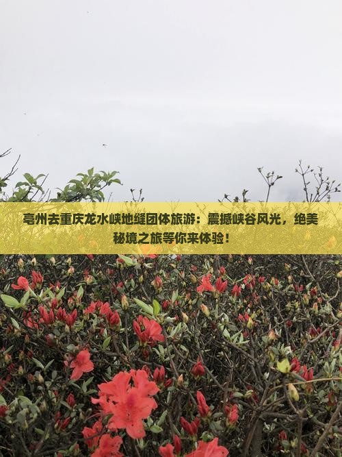 亳州去重庆龙水峡地缝团体旅游