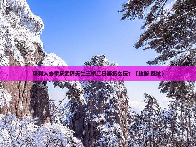 垦利去重庆武隆天生三桥二日游