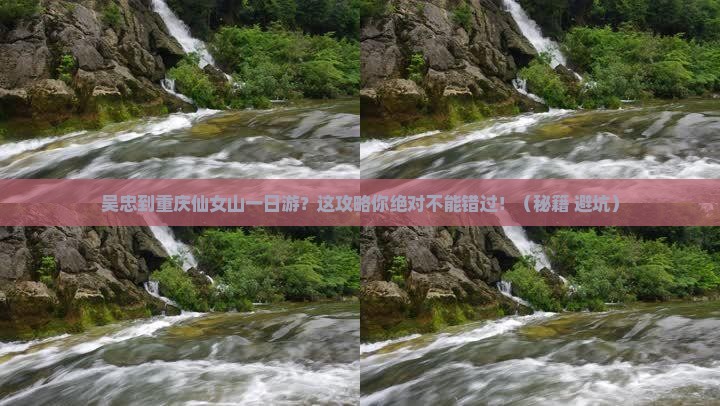 吴忠到重庆仙女山一日