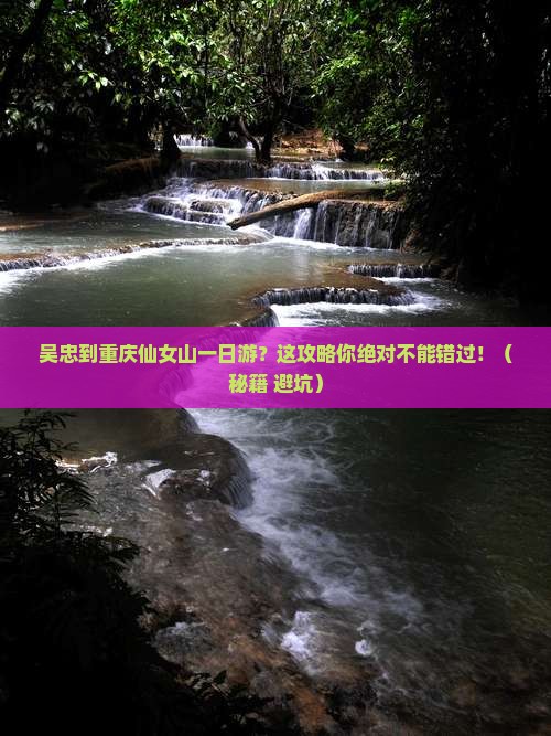 吴忠到重庆仙女山一日