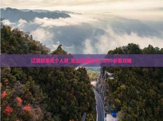 辽源到重庆个人游