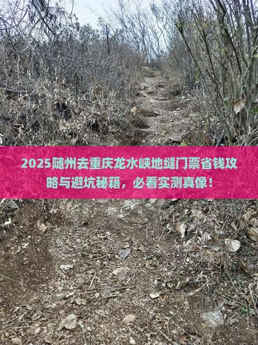 随州去重庆龙水峡地缝门票