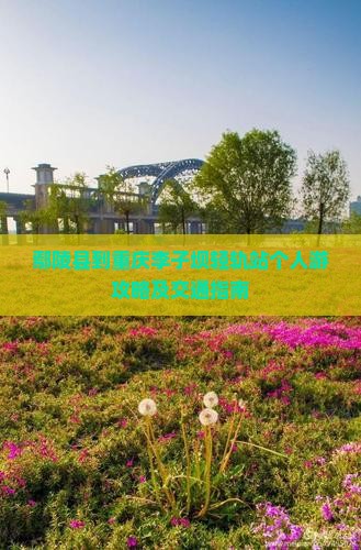 鄢陵县到重庆李子坝轻轨站个人游