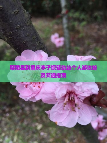 鄢陵县到重庆李子坝轻轨站个人游