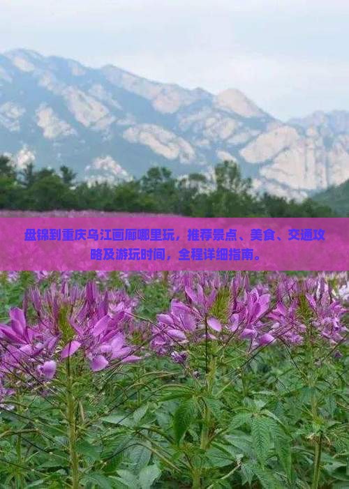盘锦到重庆乌江画廊哪里玩