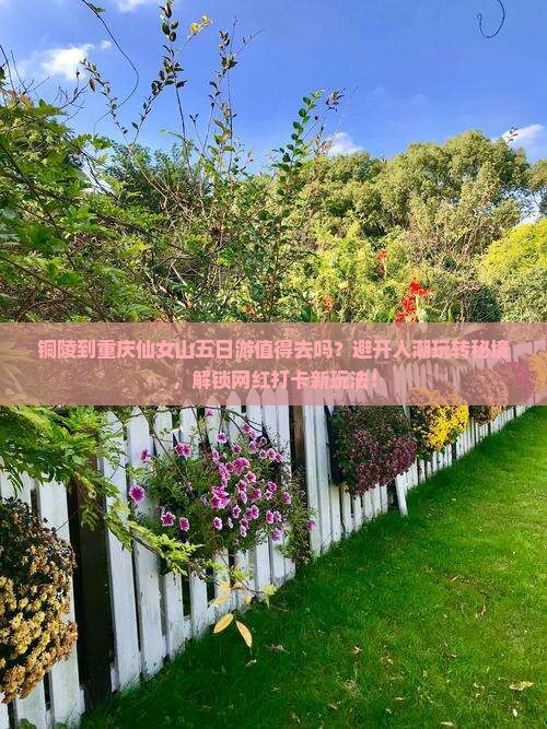 铜陵到重庆仙女山五日游