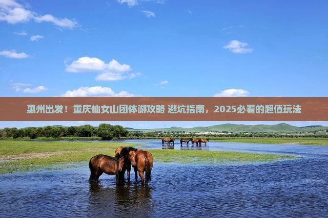 惠州到重庆仙女山团体旅游