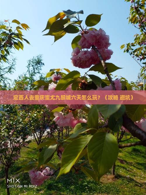 定西去重庆蚩尤九黎城六日游