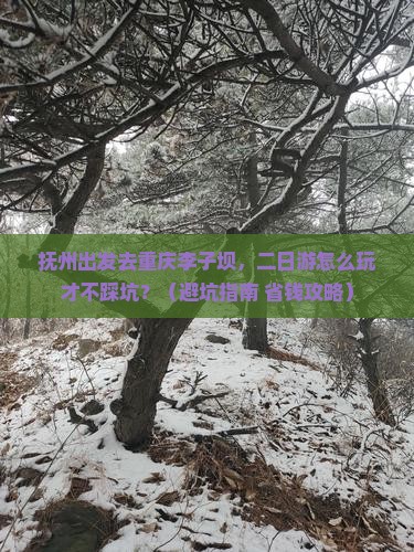 抚州到重庆李子坝轻轨站二日游