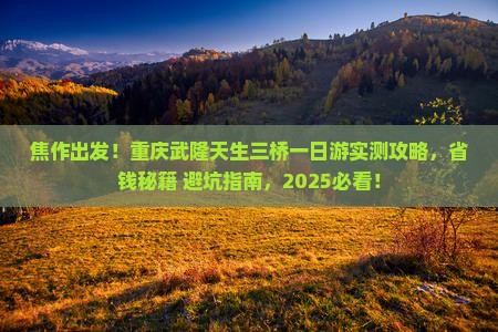 焦作到重庆武隆天生三桥一日