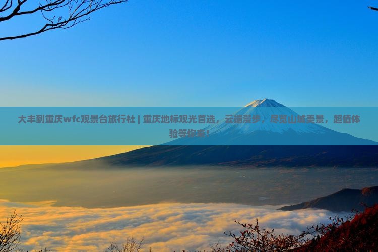 大丰到重庆wfc观景台旅行社