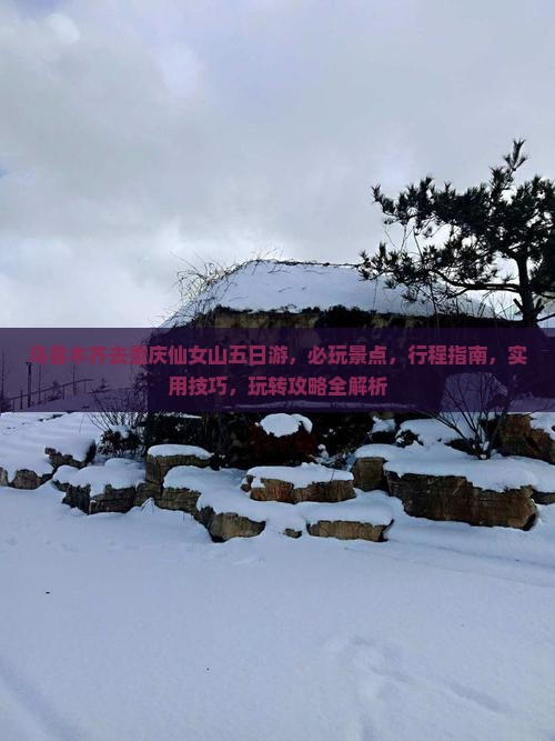 乌鲁木齐去重庆仙女山五日游
