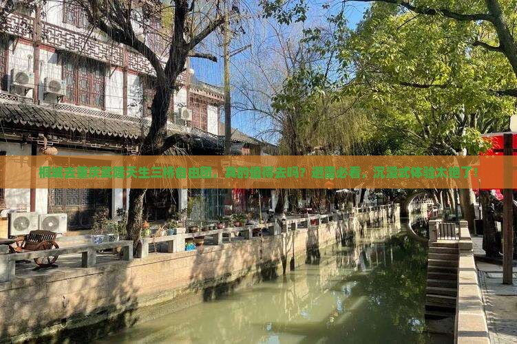 桐城去重庆武隆天生三桥自由团