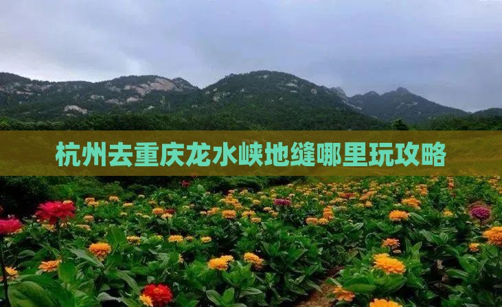 杭州去重庆龙水峡地缝哪里玩