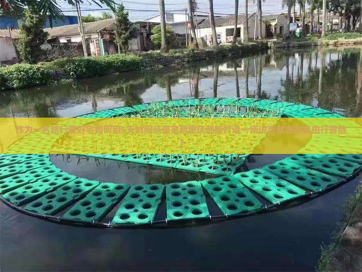 作为一名旅行爱好宅如何用5天时间从莱芜到重庆武隆打造一场说走就走的自由行冒险？