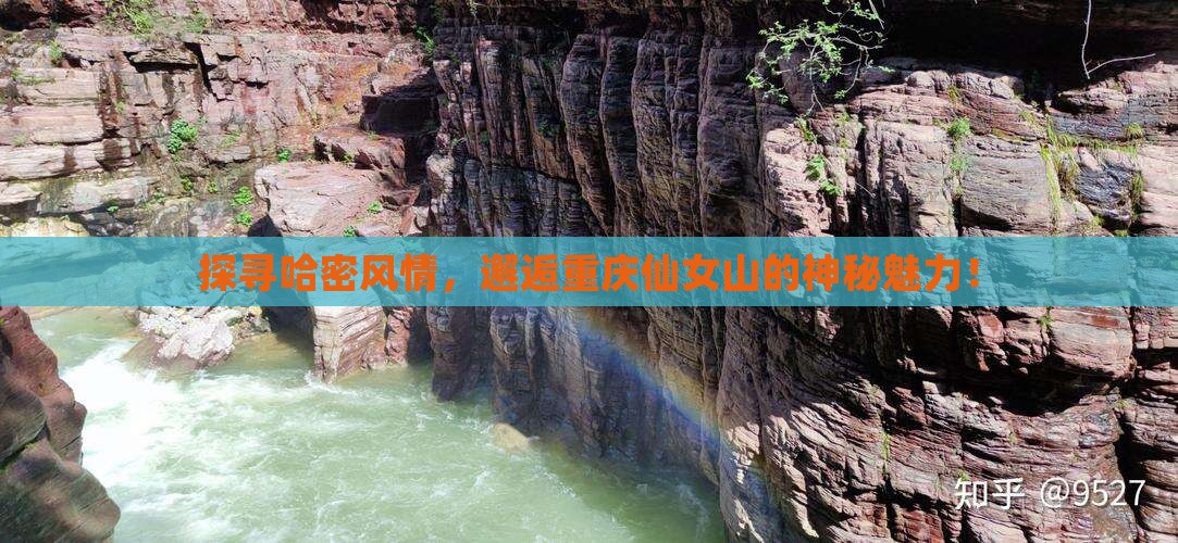 探寻哈密风情，邂逅重庆仙女山的神秘魅力！