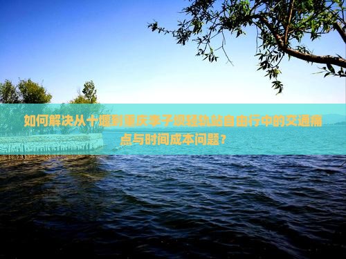 如何解决从十堰到重庆李子坝轻轨站自由行中的交通痛点与时间成本问题？