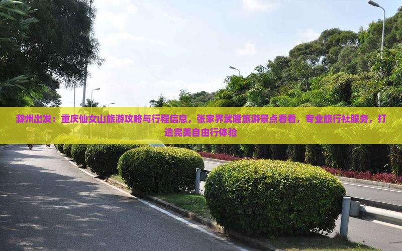 滁州出发：重庆仙女山旅游攻略与行程信息，张家界武隆旅游景点看看，专业旅行社服务，打造完美自由行体验