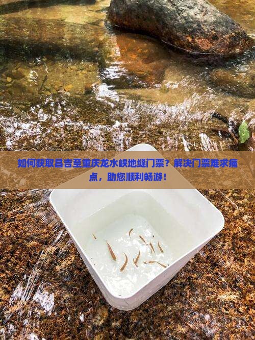 如何获取昌吉至重庆龙水峡地缝门票？解决门票难求痛点，助您顺利畅游！