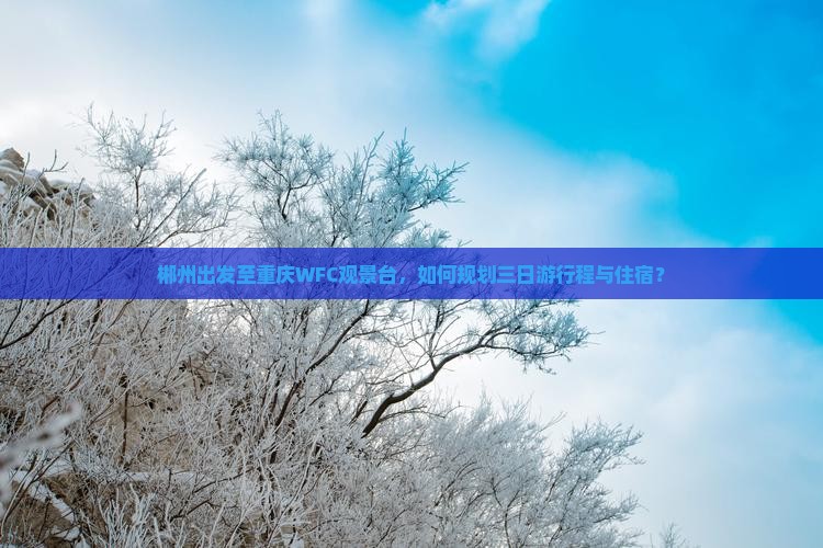 郴州出发至重庆WFC观景台，如何规划三日游行程与住宿？