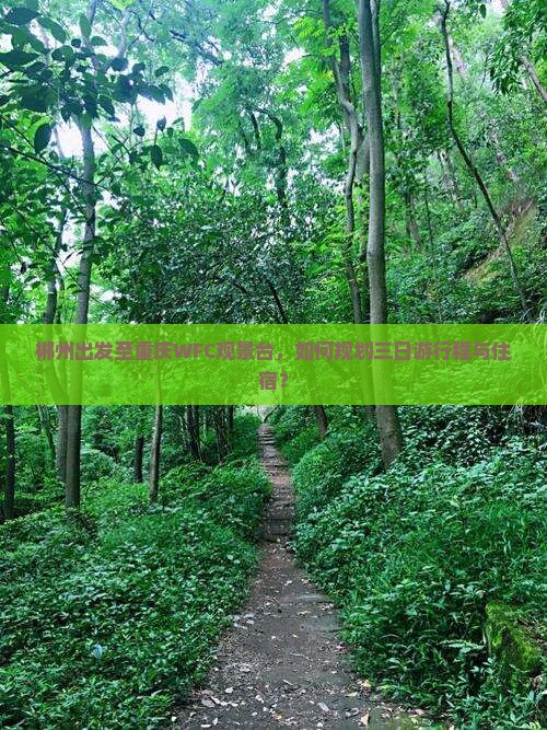 郴州出发至重庆WFC观景台，如何规划三日游行程与住宿？