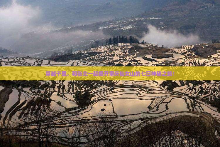 穿越千里，和张北一起揭开重庆仙女山的七日神秘之旅！