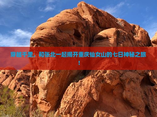 穿越千里，和张北一起揭开重庆仙女山的七日神秘之旅！