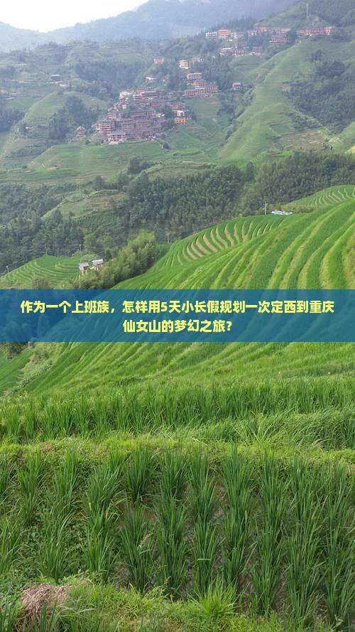 作为一个上班族，怎样用5天小长假规划一次定西到重庆仙女山的梦幻之旅？