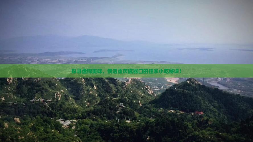 探寻盘锦美味，偶遇重庆磁器口的独家小吃秘诀！