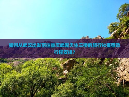 如何从武汉出发前往重庆武隆天生三桥的旅行社推荐及行程安排？