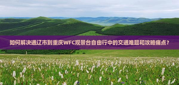 如何解决通辽市到重庆WFC观景台自由行中的交通难题和攻略痛点？