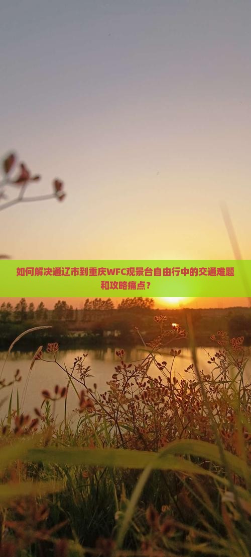如何解决通辽市到重庆WFC观景台自由行中的交通难题和攻略痛点？