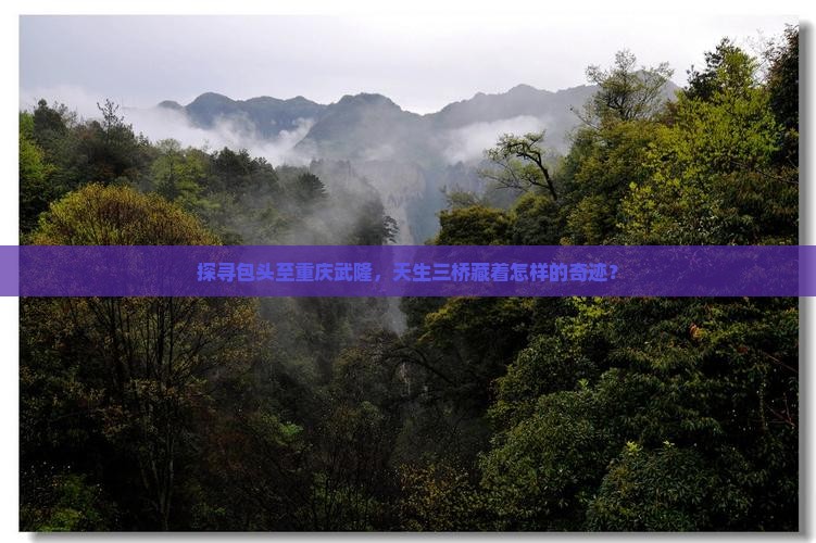探寻包头至重庆武隆，天生三桥藏着怎样的奇迹？
