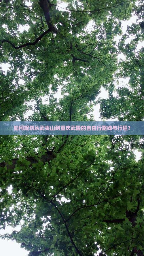 如何规划从武夷山到重庆武隆的自由行路线与行程？